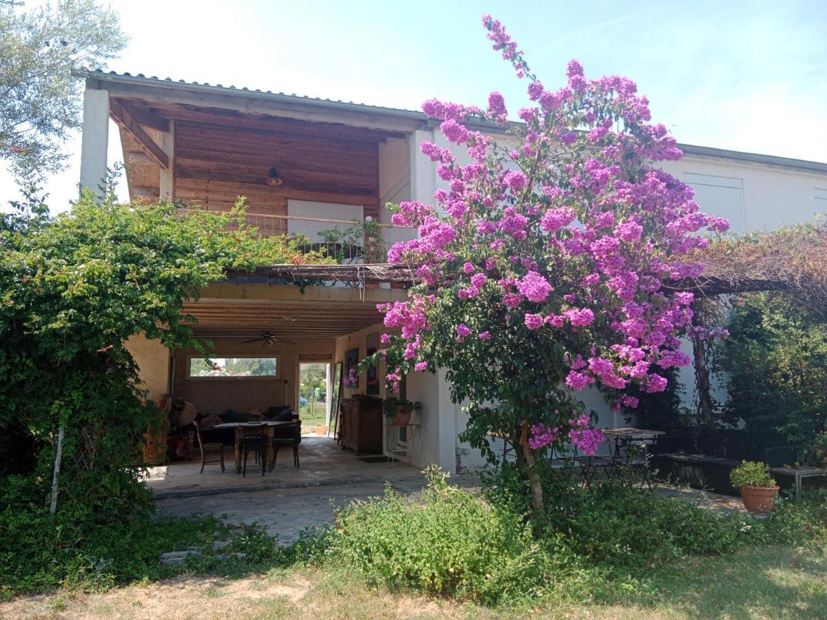 나르본 Domaine Limouzy 빌라 외부 사진
