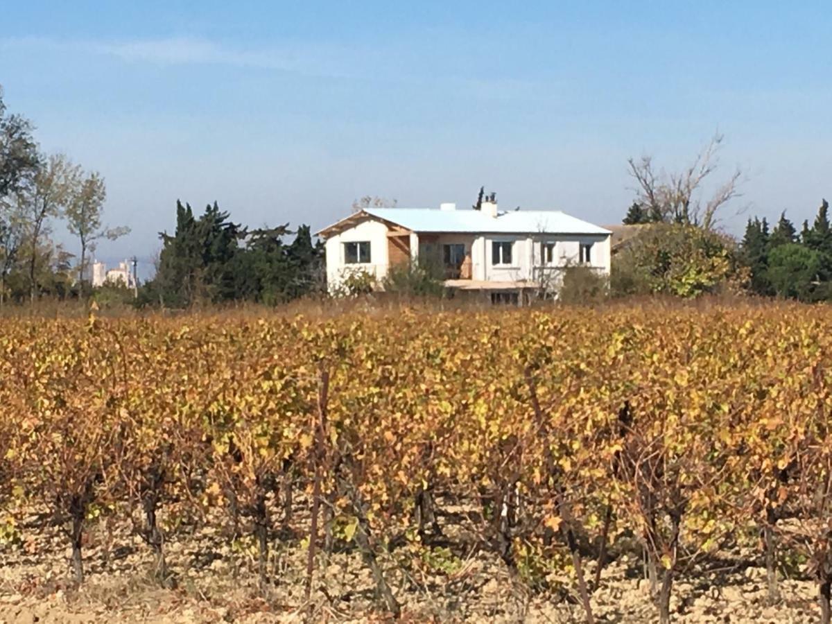 나르본 Domaine Limouzy 빌라 외부 사진